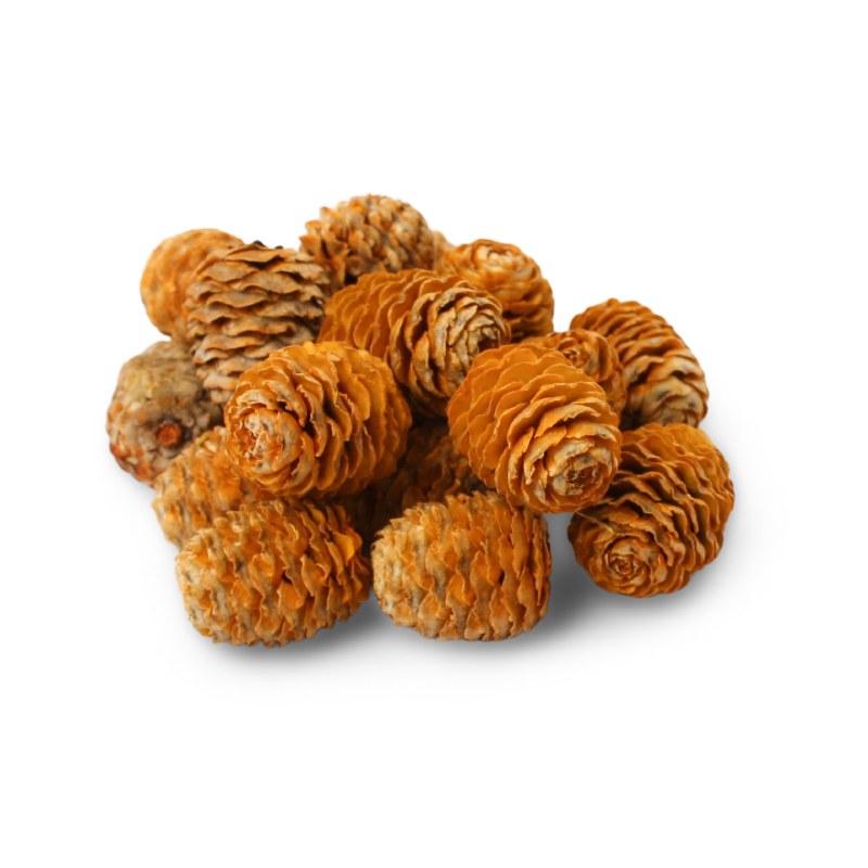 Picture of Larch Cones 500g Aspen gold